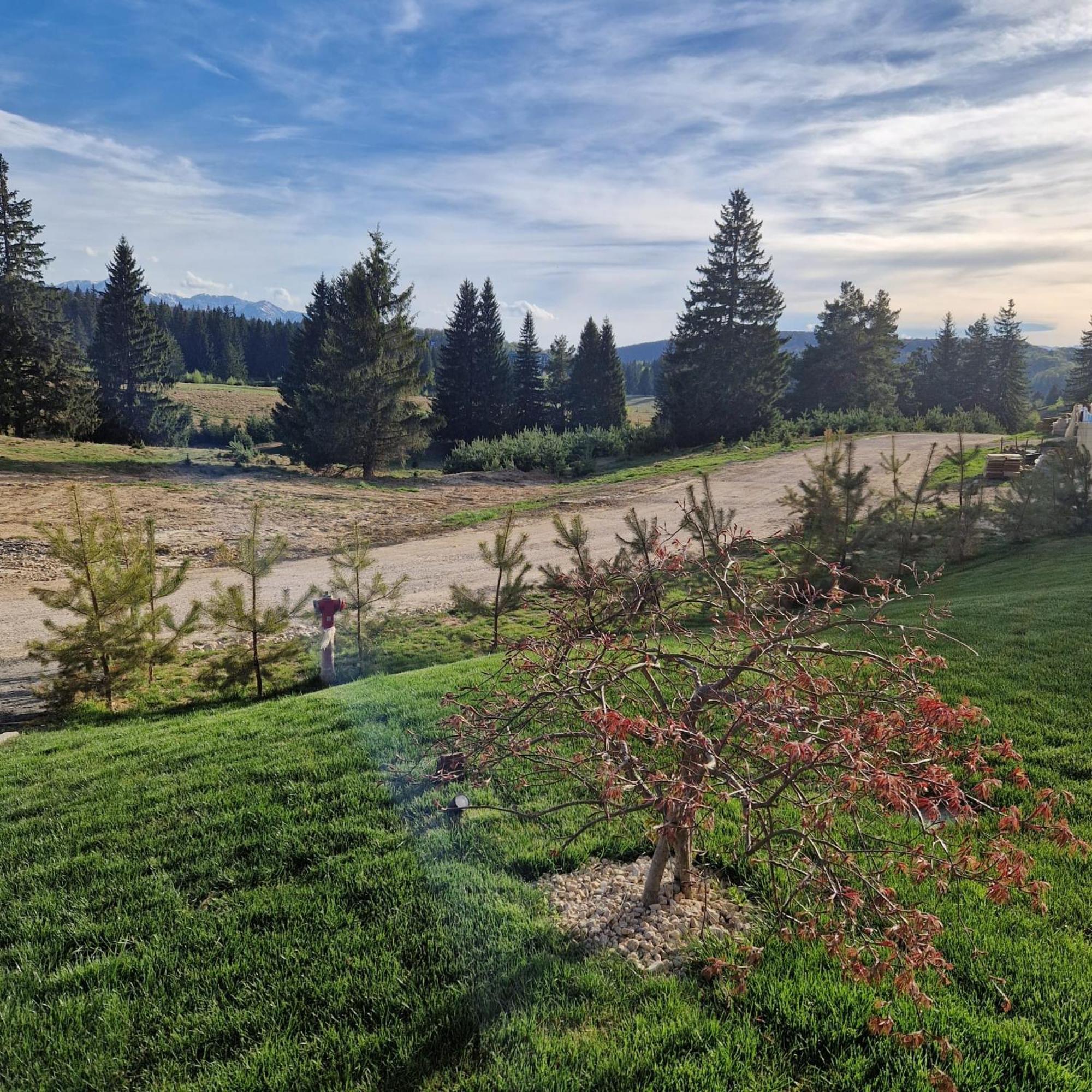 Albert Residence Aparthotel Grand Chalet With Free Spa Access To Alpin Resort Poiana Brasov Exterior foto
