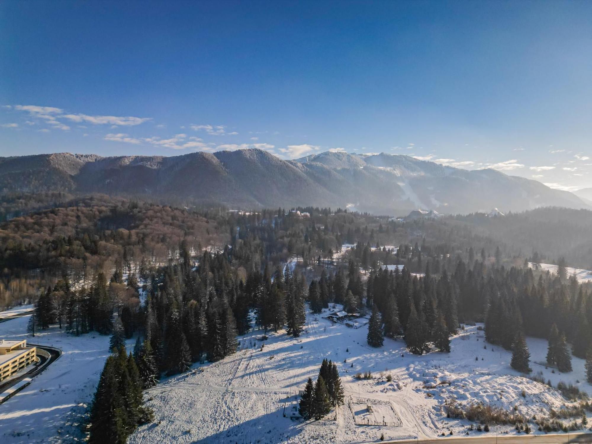 Albert Residence Aparthotel Grand Chalet With Free Spa Access To Alpin Resort Poiana Brasov Exterior foto
